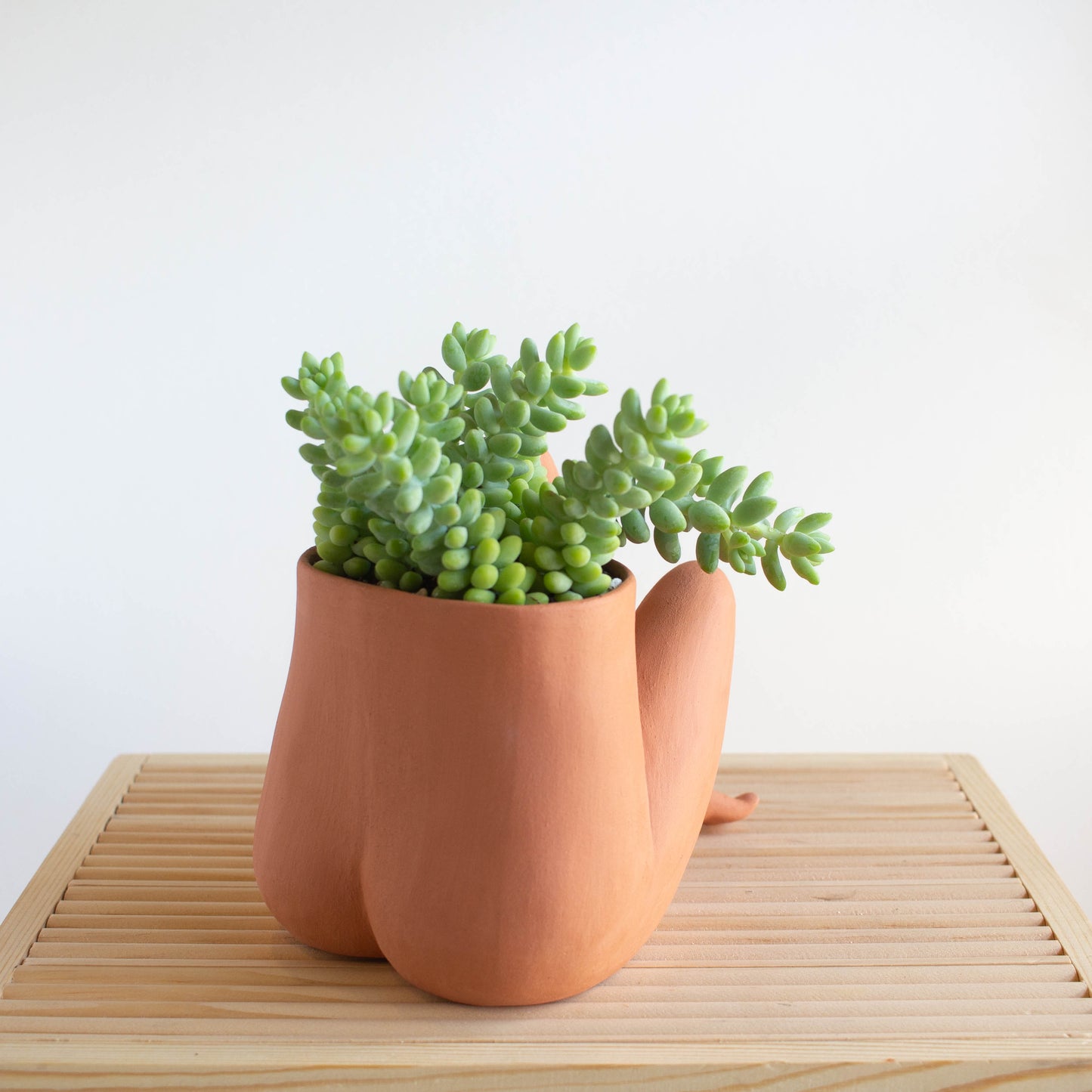 Crossed Leggy - Terracotta
