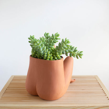 Crossed Leggy - Terracotta
