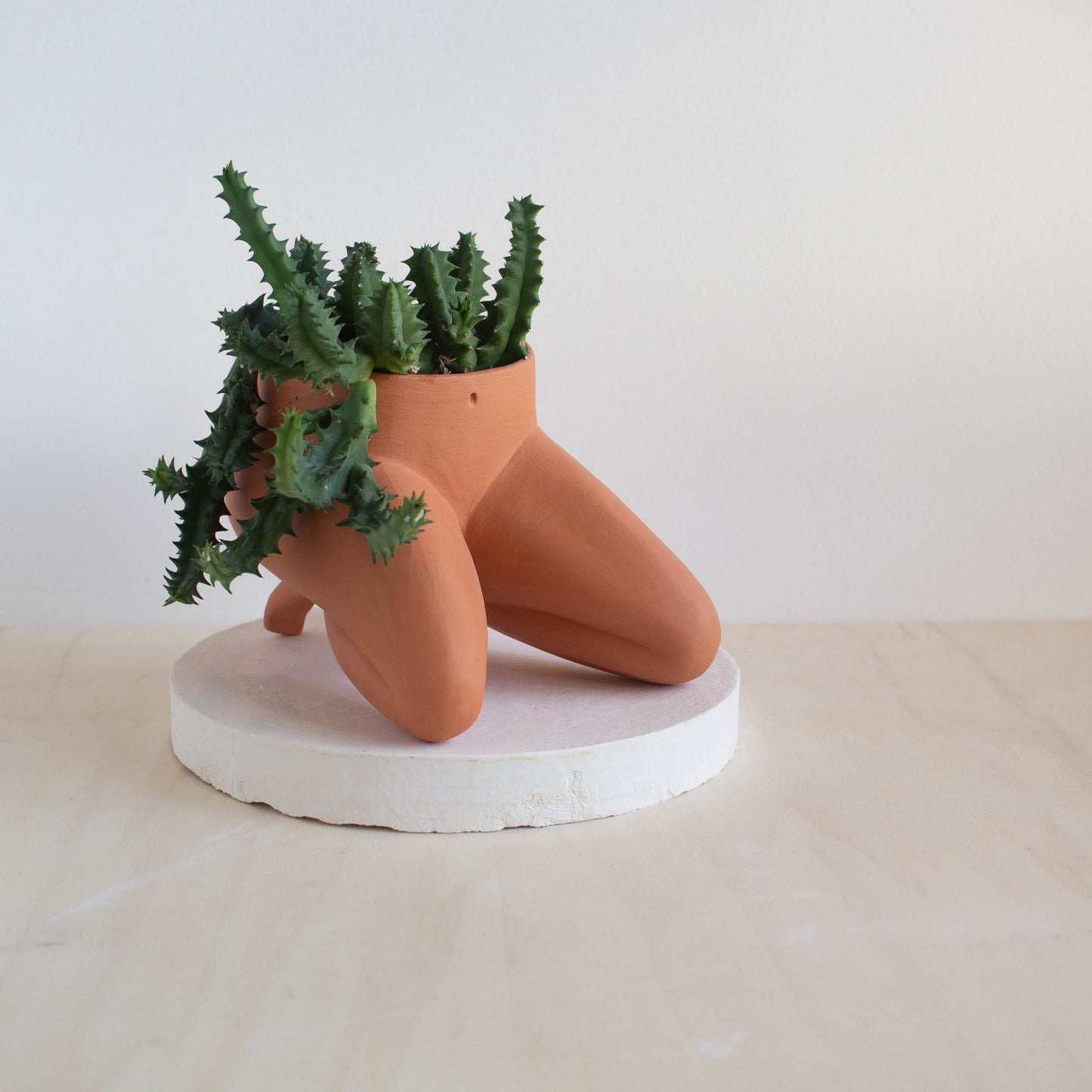 Heel Sit Leggy - Terracotta