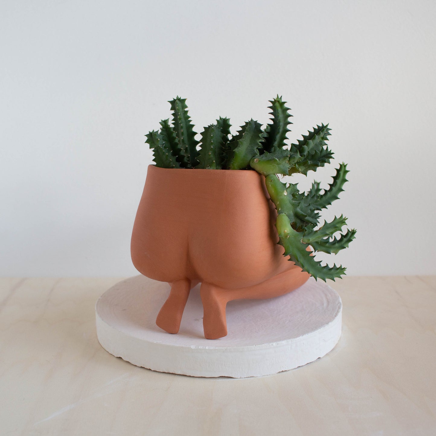 Heel Sit Leggy - Terracotta
