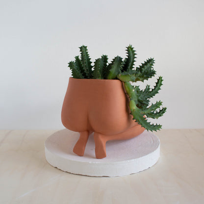 Heel Sit Leggy - Terracotta