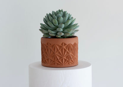 Small Carved Planter