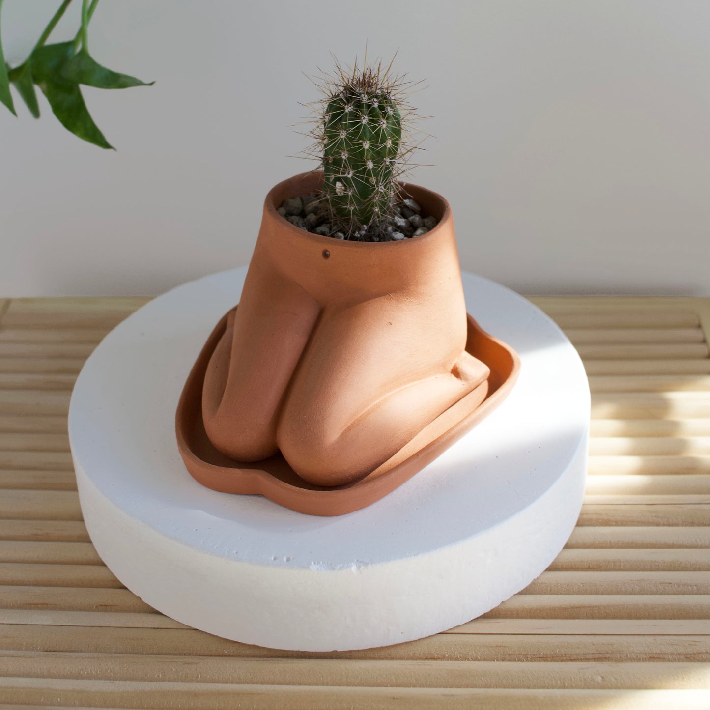 Mini Kneeling Leggy - Terracotta