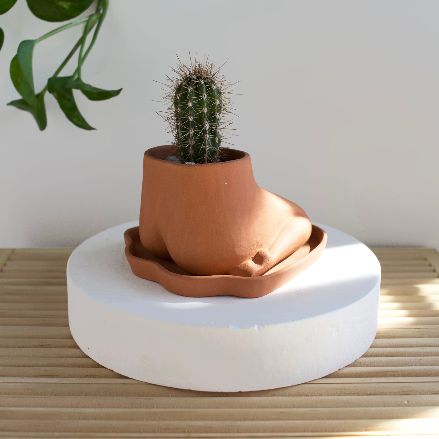 Mini Kneeling Leggy - Terracotta
